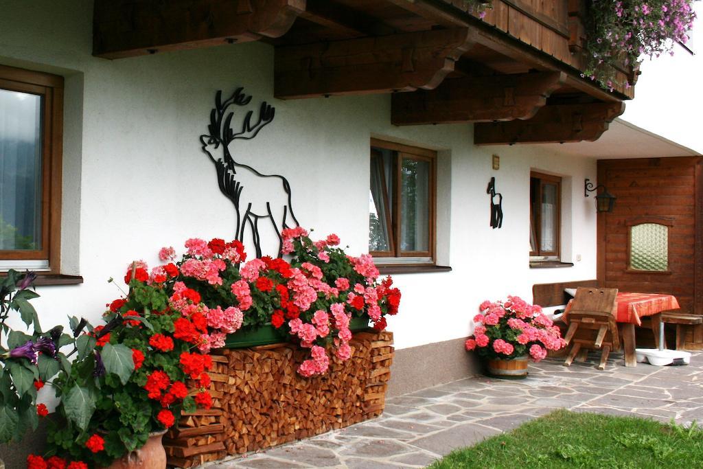 Appartement Haus Ampferstein à Telfes im Stubai Extérieur photo